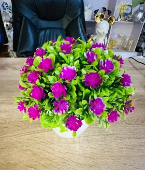 Potted Flowers for Table Tops and Consoles
