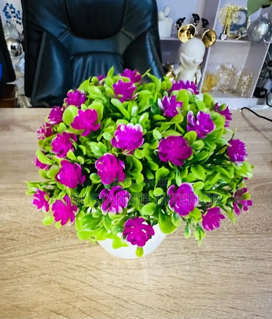 Potted Flowers for Table Tops and Consoles