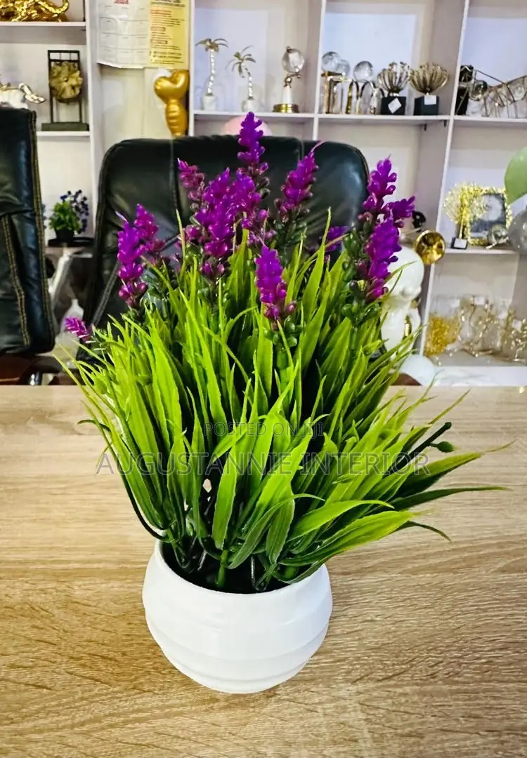 Potted Flowers for Table Tops and Consoles