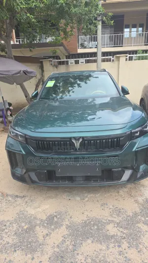 New Voyah Passion 2025 Green