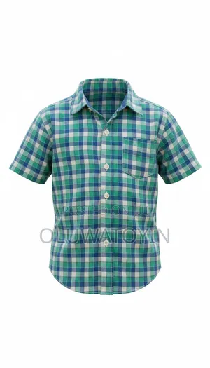Green and Blue Plaid Shirt: