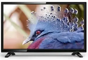 26 Inches Eco Led Tv