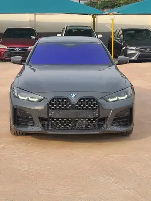 BMW 450 2025 Gray