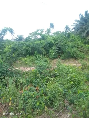 Industrial Acres of Land Ikorodu Sagamu Rd Ogun State