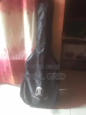 Armstrong Acoustic Guitar