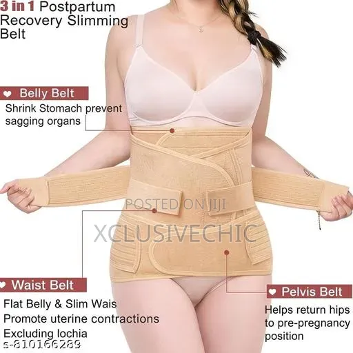 Automatic Fever Physiotherapy Belt
