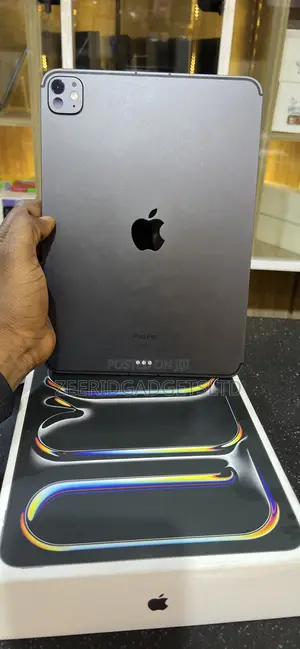 Apple iPad Pro 11 (2024) 256 GB Gray