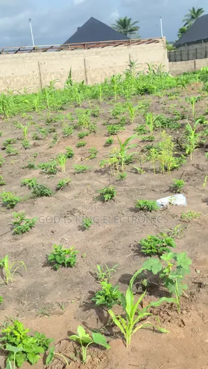 Half Plot of Land Located at Inside Egbelu