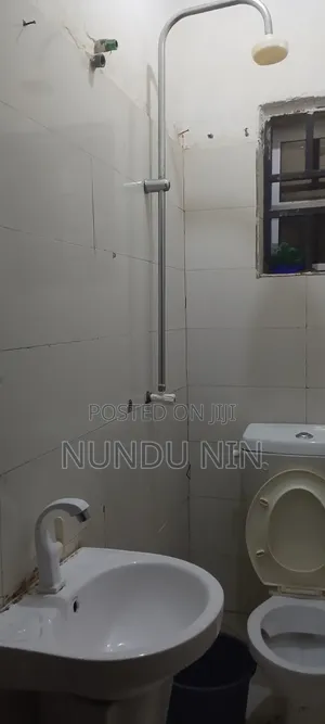 Comfortable Girls Apartment