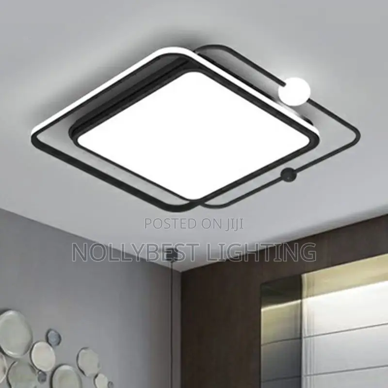 Ceiling Light Led Veil Light Available