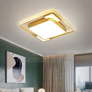 Ceiling Light Led Veil Light Available