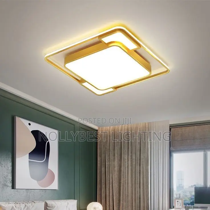Ceiling Light Led Veil Light Available