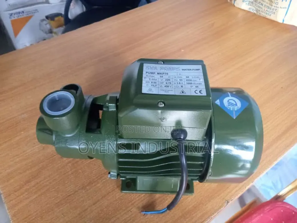 Surface Water Pump