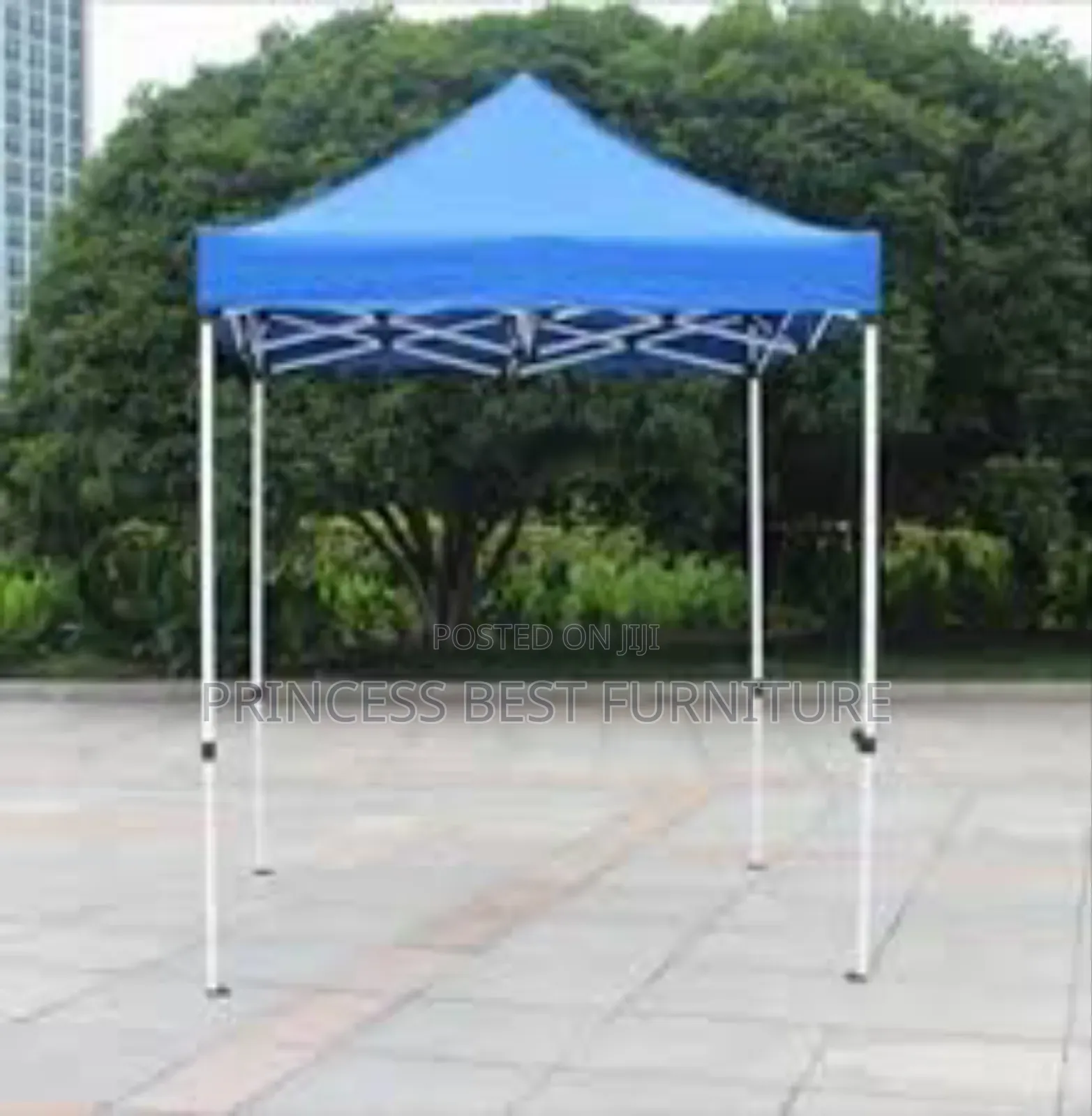Blue Canopy 10by 10 Ft
