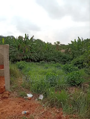 Hot Cake One Full Plot of Land at Diamond Estates.
