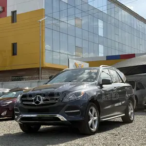 Mercedes-Benz GLE-Class GLE 350d 4MATIC 2016 Gray
