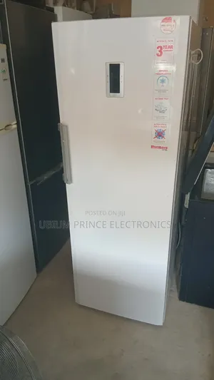 Bloomberg Standing Freezer