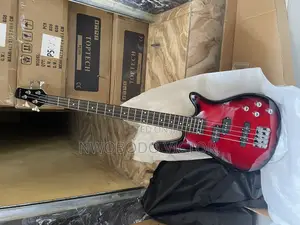 Bass Guitar