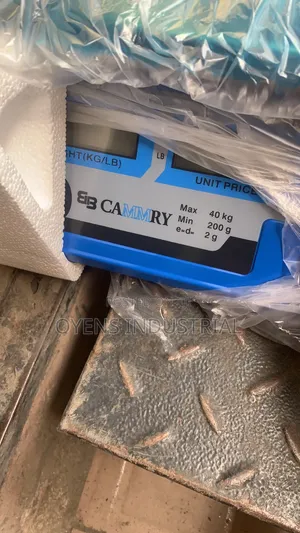 Camry Electronic Scale 40kg