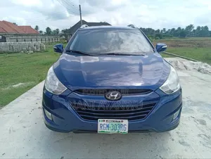 Hyundai Ix35 2013 Blue