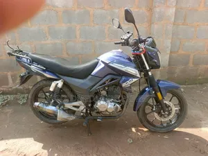 Qlink XP 200 2024 Purple