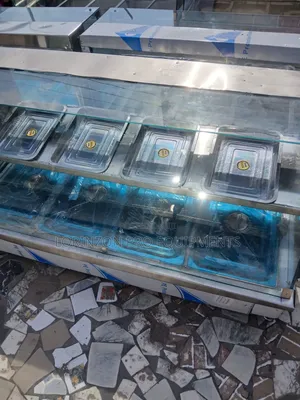 4 Plate Food Display Warmer-Keeps Food Hot Fresh/Attractive Display