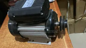 Electric Motors