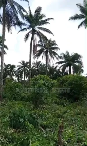 200 Acres Of Land Facing Ilesha/Ile-ile Express Road