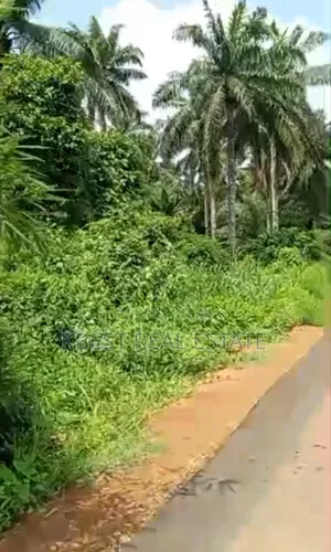 200 Acres of Land Facing Ilesha/Ile-Ile Express