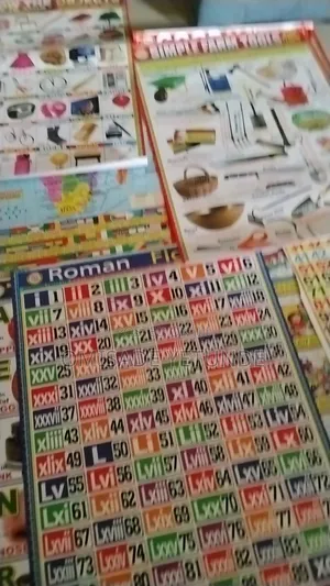 Educational Toys