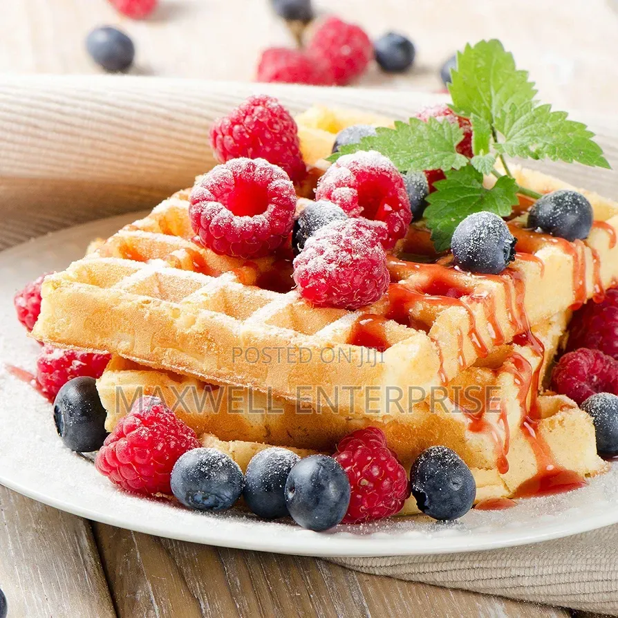 Salter Double Waffle Maker