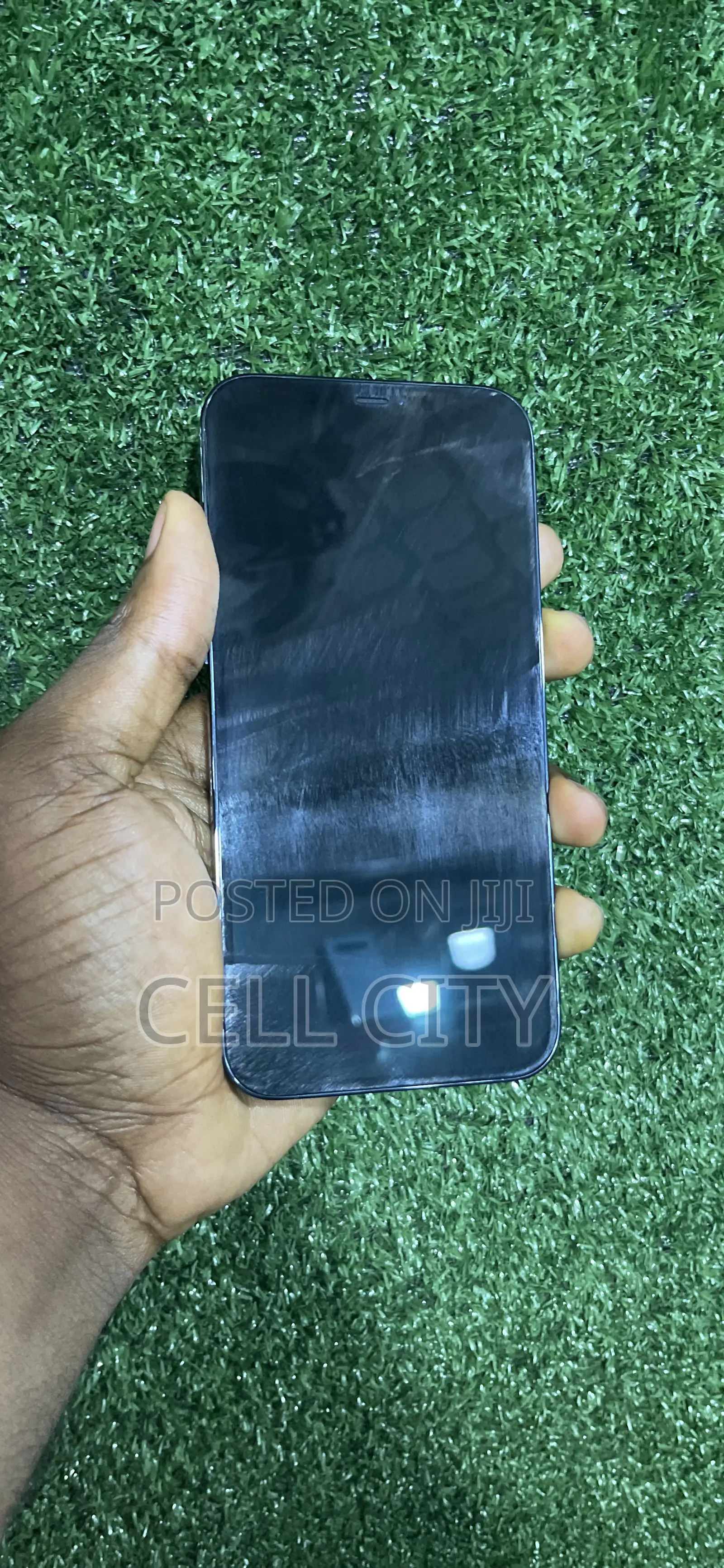 Apple iPhone 12 Pro Max 256 GB Blue