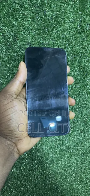 Apple iPhone 12 Pro Max 256 GB Blue
