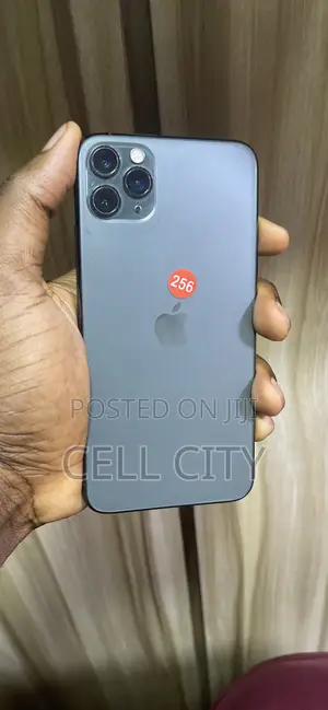 Apple iPhone 11 Pro Max 256 GB Gray