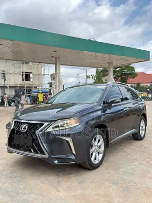 Lexus RX 350 2010 Gray