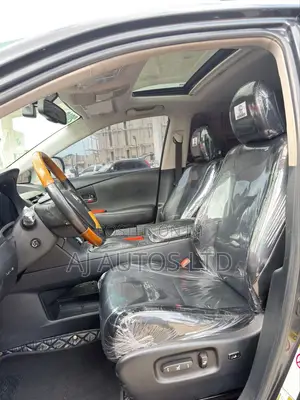 Lexus RX 350 2010 Gray