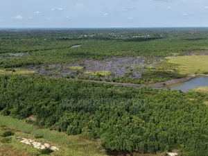 Specious Land