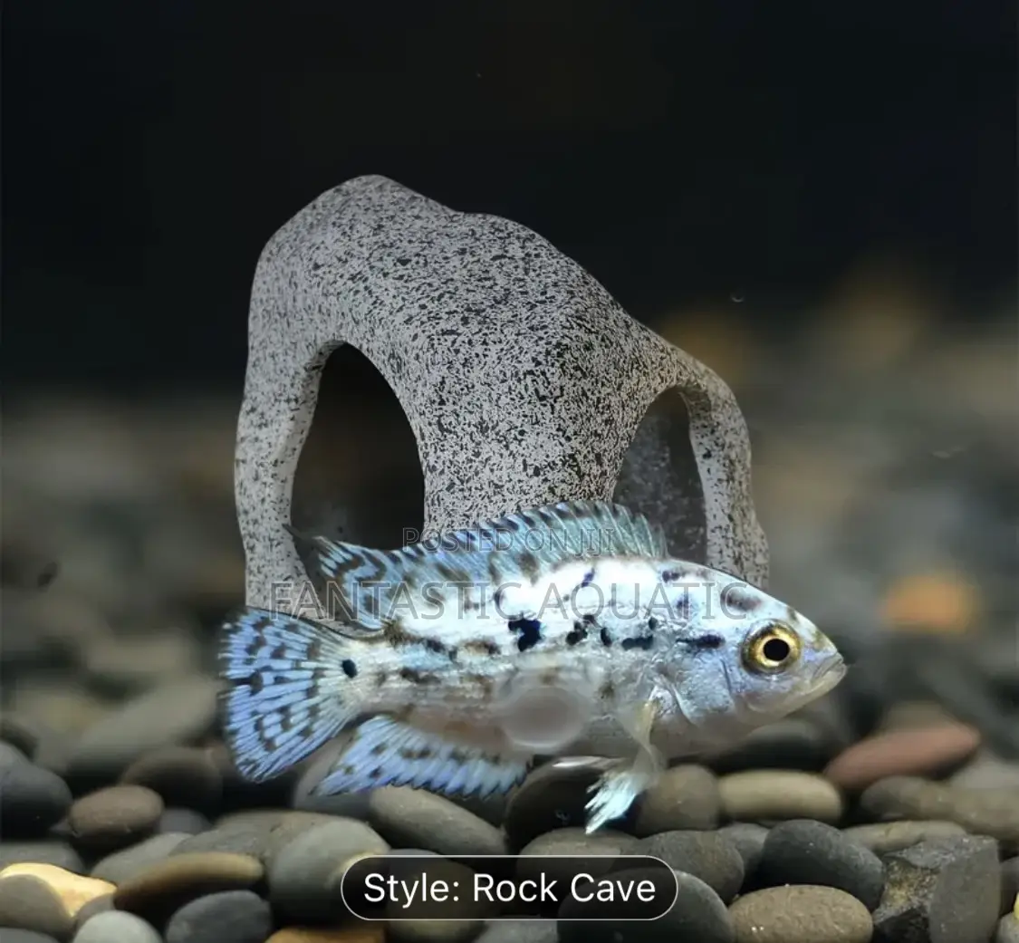 Aquarium Hide Away Rock Cave