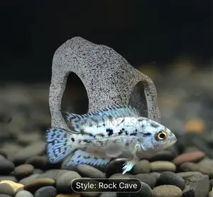 Aquarium Hide Away Rock Cave