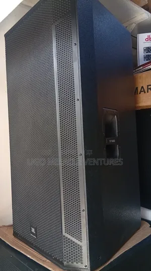 Double 15" JBL Speaker