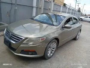 Volkswagen Passat 2009 Gray
