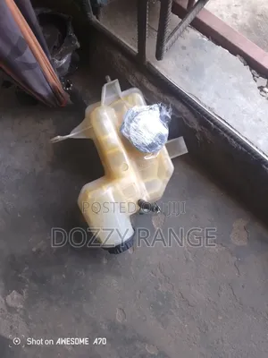 Range Rover Water Can 2006