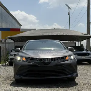 Toyota Camry LE (2.5L 4cyl 8A) 2019 Gray