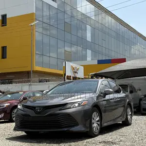 Toyota Camry LE (2.5L 4cyl 8A) 2019 Gray