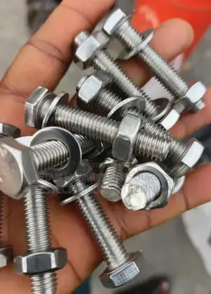 Ass Bolt and Nut