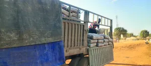 Dealer in Both Boa and Dangote Cement