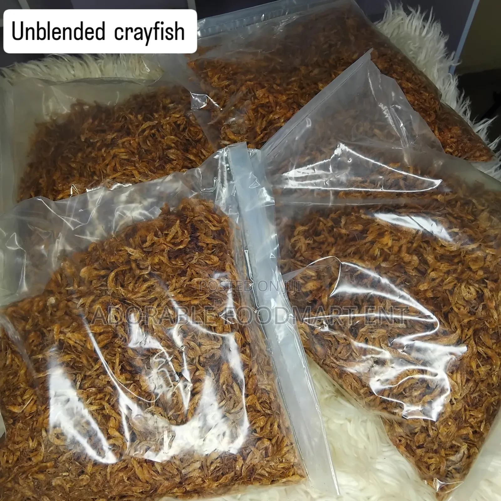 Neatly Crayfish