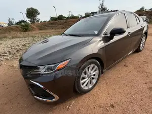 Toyota Camry 2019 Brown