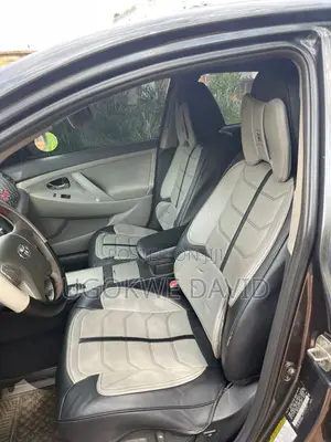 Toyota Camry 2009 Gray