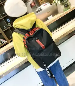 Trendy Backpack Bag New